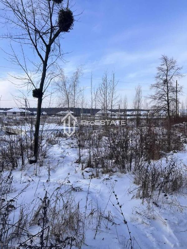 земля продам село Гнідин, фото 18 з 20