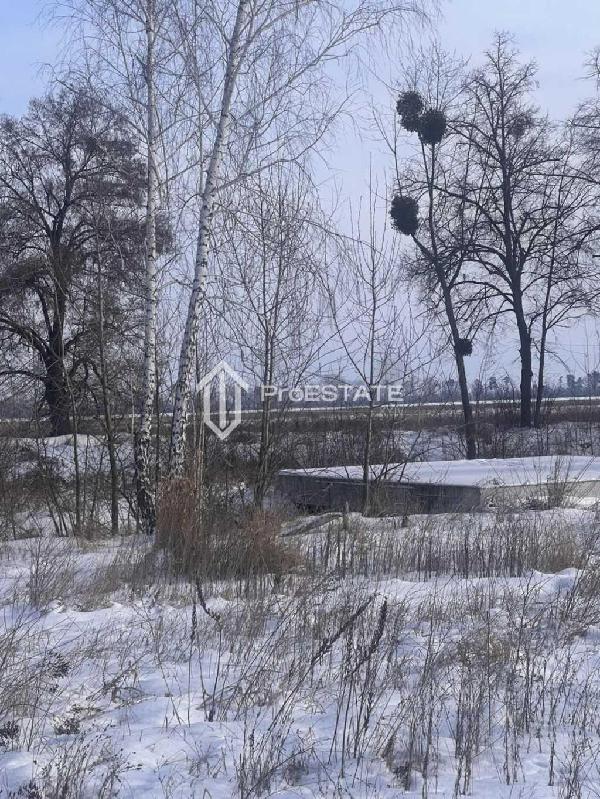 земля продам село Гнідин, фото 20 з 20