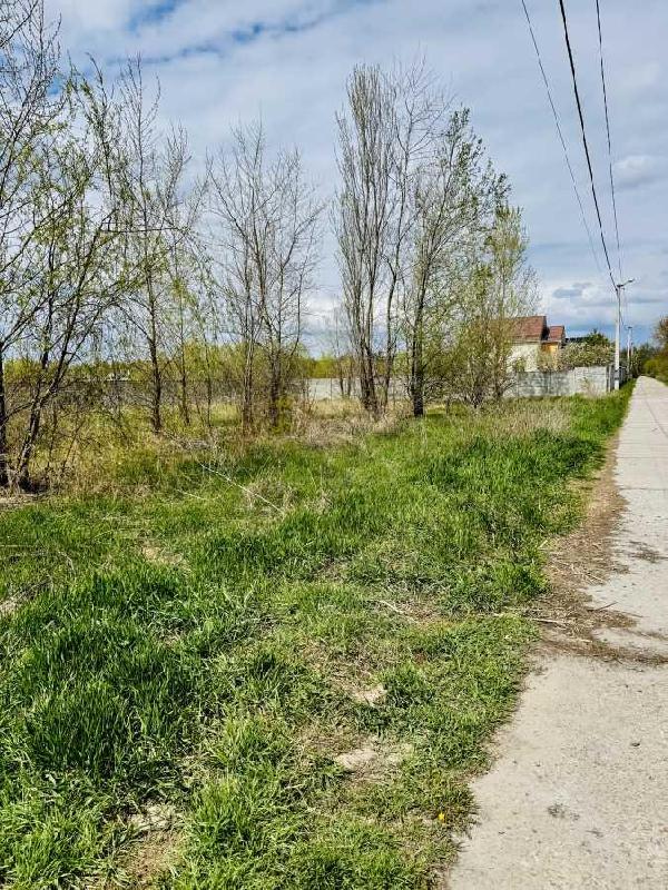 земля продам село Вишеньки, фото 5 з 9