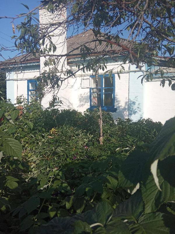 будинок продам смт Чорнобай, фото 8 з 8