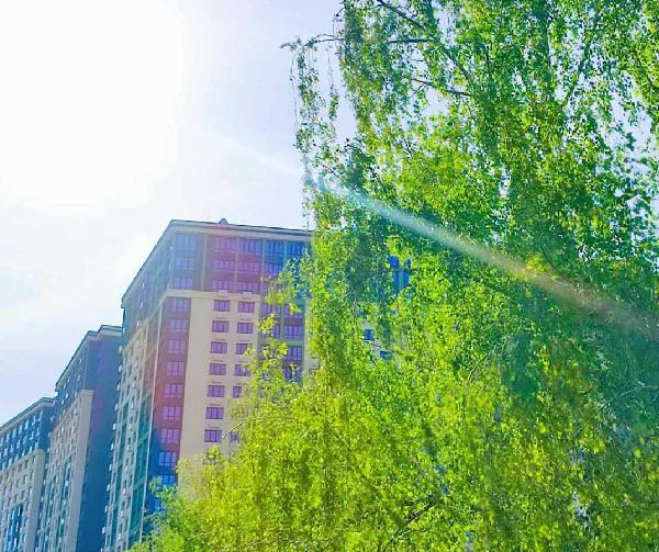 квартира здам довгостроково місто Київ, фото 20 з 20