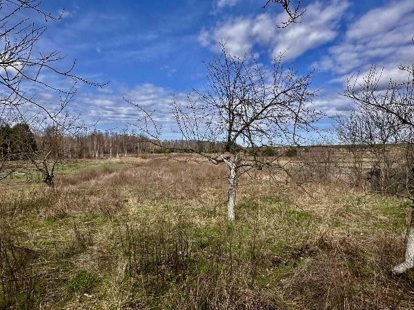 будинок продам село Плахтянка, фото 24 з 24