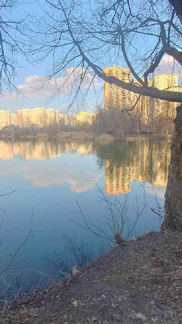 квартира продам місто Київ, фото 14 з 14