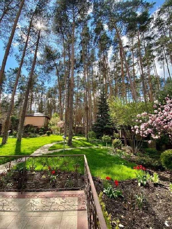 будинок продам село Стоянка, фото 6 з 24