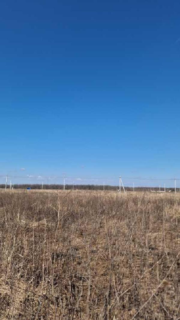 земля продам місто Біла Церква, фото 3 з 5