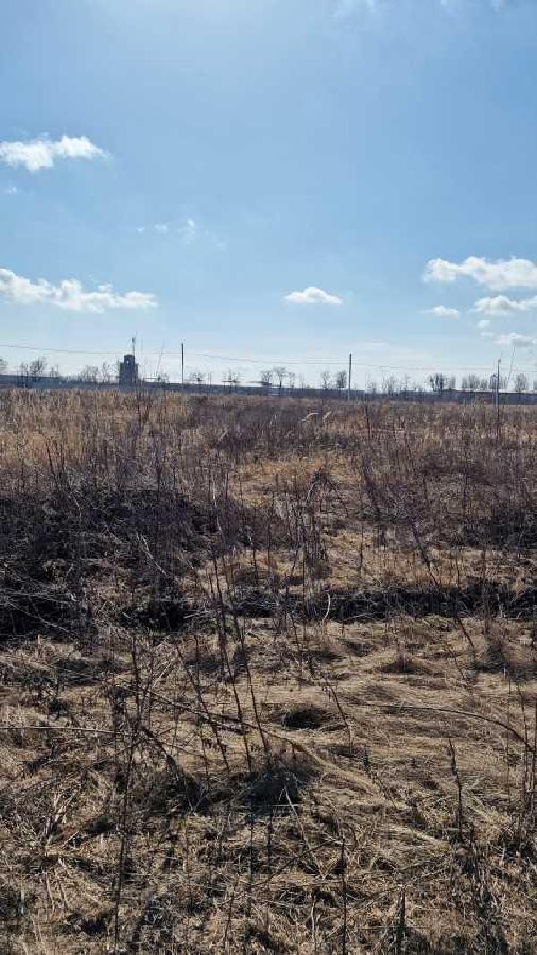 земля продам місто Біла Церква, фото 5 з 5