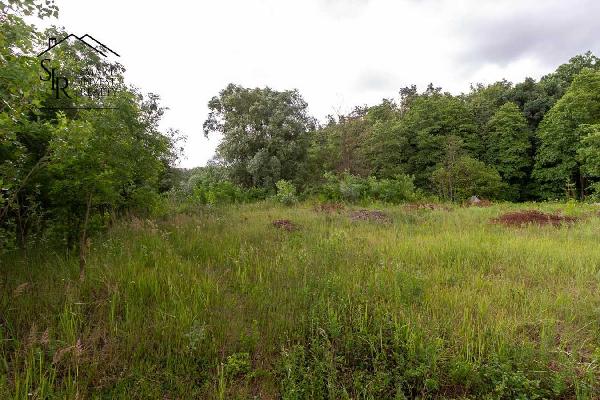 земля продам село Хотів, фото 5 з 10