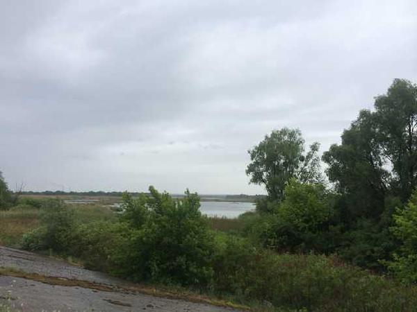 земля продам село Проців, фото 2 з 5