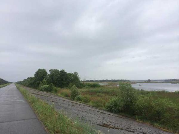 земля продам село Проців, фото 3 з 5