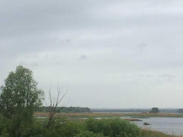 земля продам село Проців, фото 5 з 5