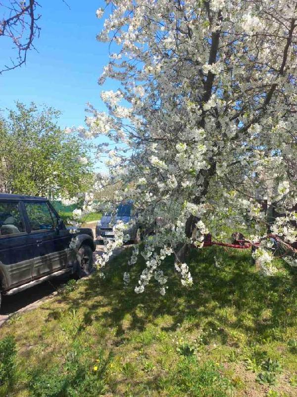 будинок продам смт Брусилів, фото 11 з 24
