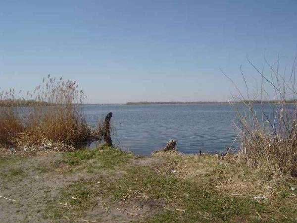 земля продам село Проців, фото 1 з 5