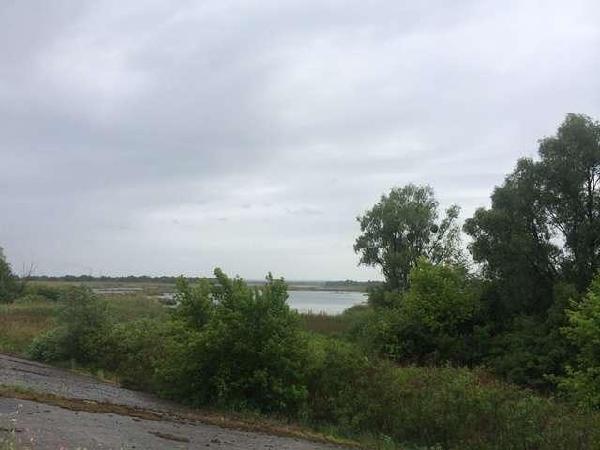 земля продам село Проців, фото 3 з 5