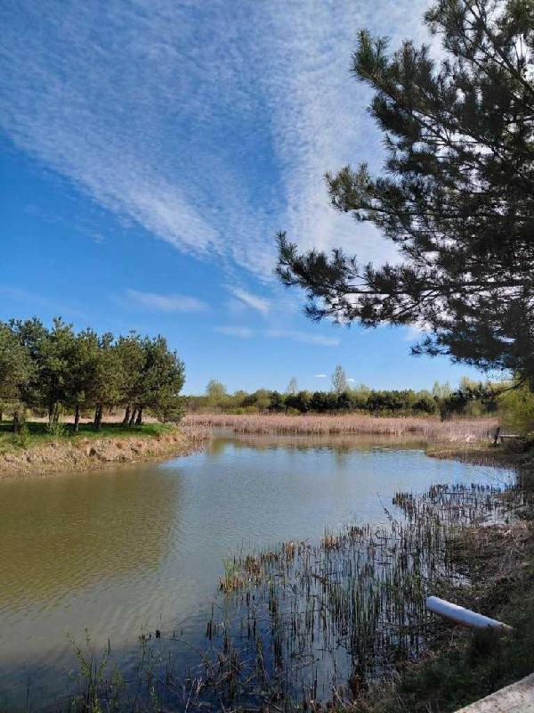 земля продам село Озерце, фото 4 з 12