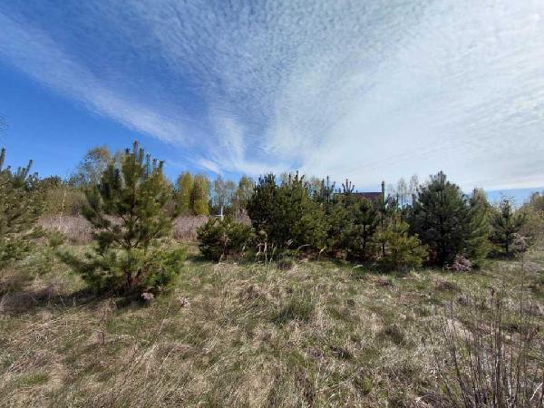земля продам село Озерце, фото 6 з 12