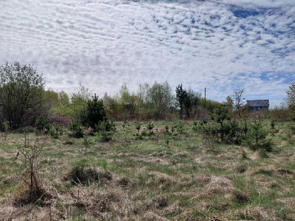 земля продам село Озерце, фото 7 з 12