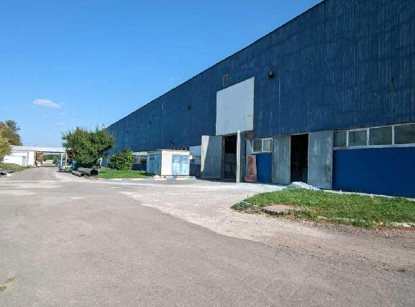 нежитлова нерухомість продам місто Біла Церква, фото 4 з 12