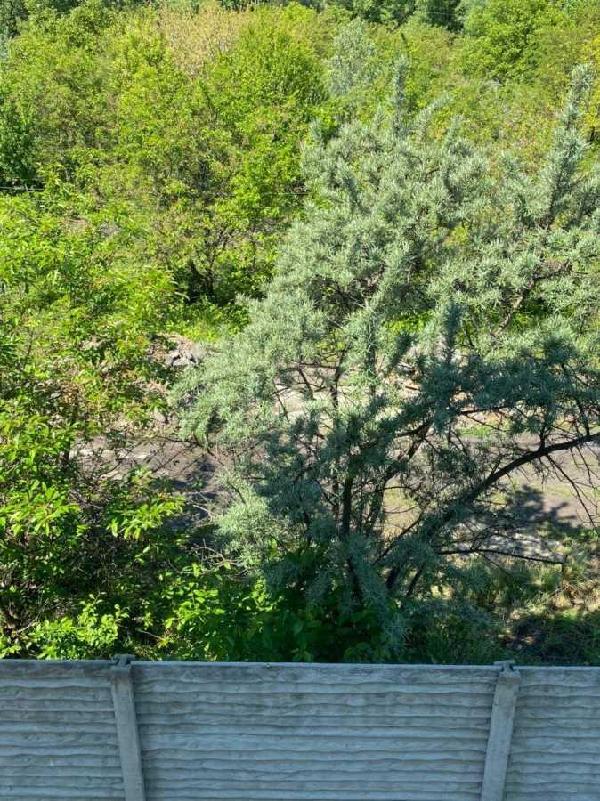 будинок здам довгостроково місто Київ, фото 13 з 16