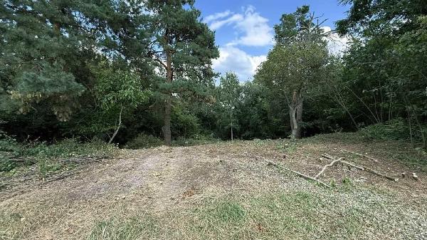 земля продам село Плюти, фото 1 з 9