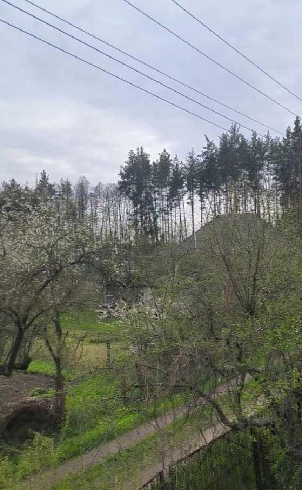 будинок продам смт Бабинці, фото 3 з 6