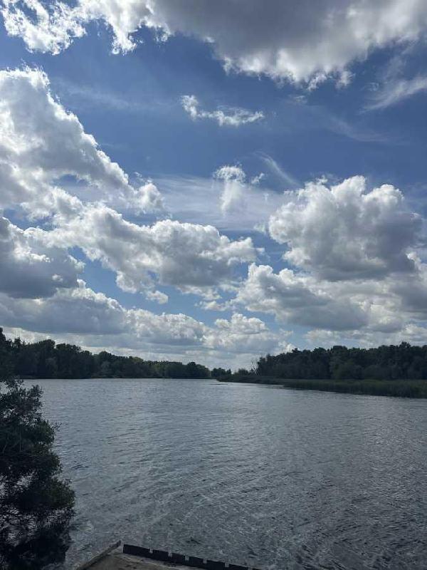 земля продам село Вишеньки, фото 10 з 10