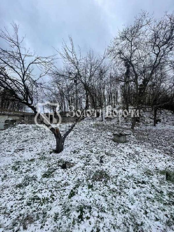 земля продам село Дерев'яна, фото 2 з 7