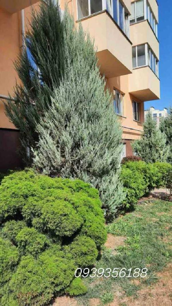 квартира продам село Софіївська Борщагівка, фото 16 з 18