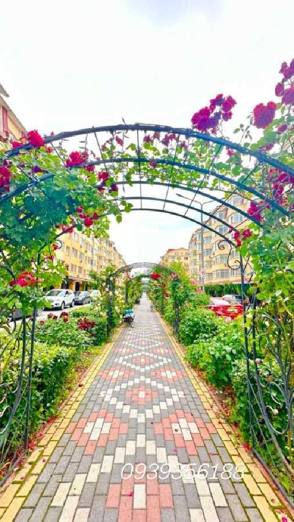 квартира продам село Софіївська Борщагівка, фото 17 з 18