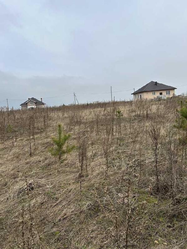 земля продам село Рожівка, фото 1 з 10