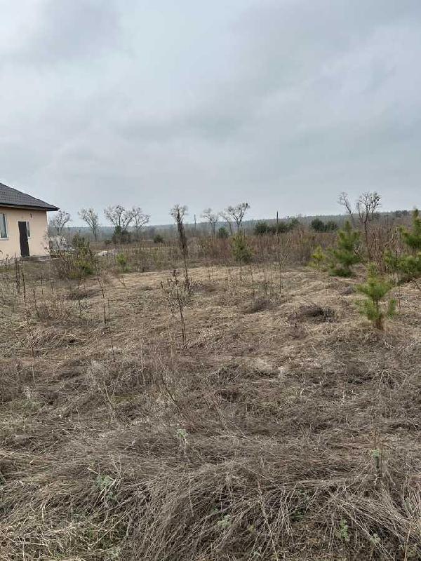 земля продам село Рожівка, фото 3 з 10