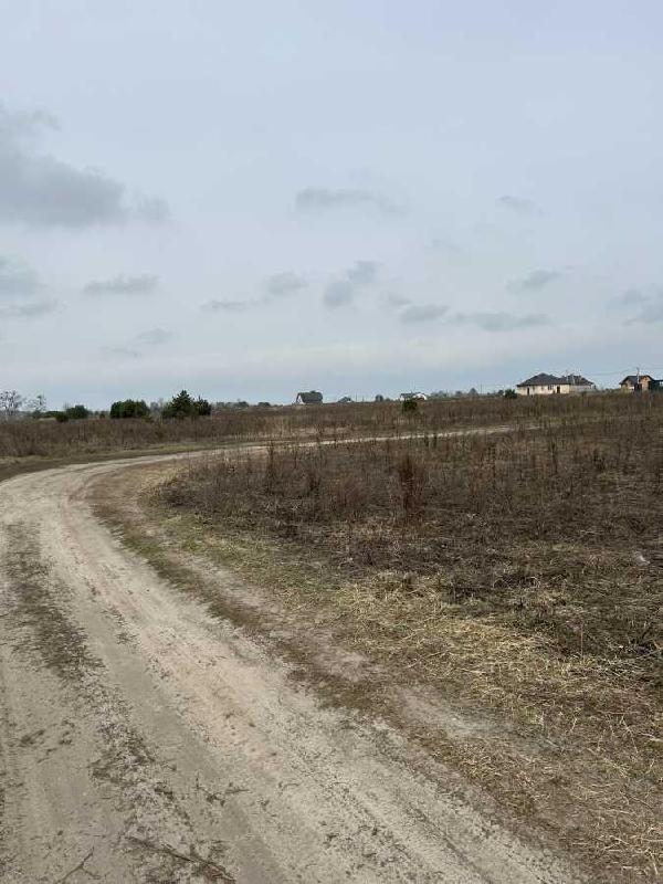 земля продам село Рожівка, фото 7 з 10