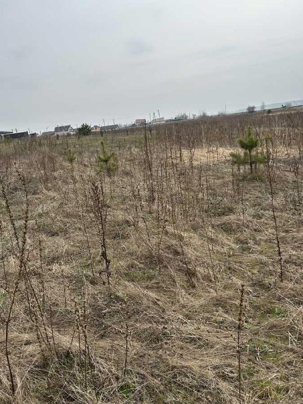 земля продам село Рожівка, фото 9 з 10