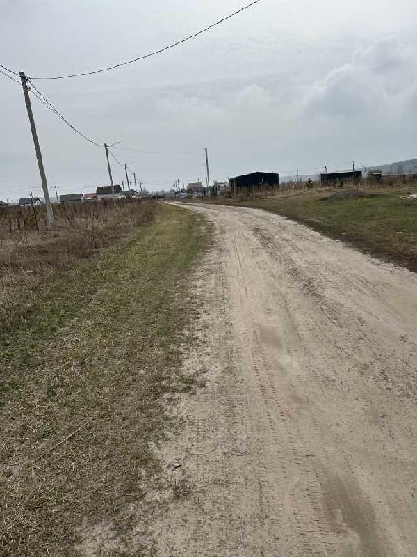 земля продам село Рожівка, фото 10 з 10