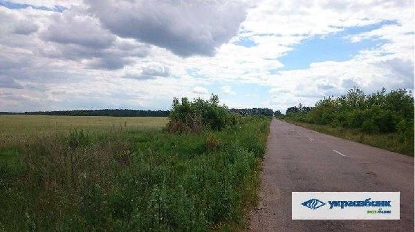 земля продам село Мостище, фото 2 з 15