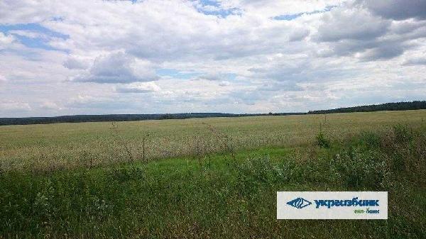 земля продам село Мостище, фото 3 з 15