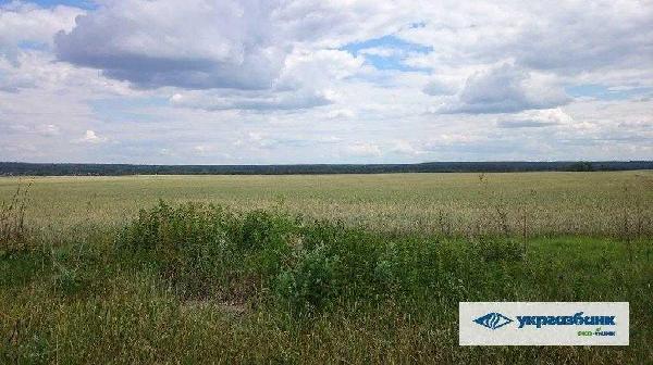 земля продам село Мостище, фото 4 з 15