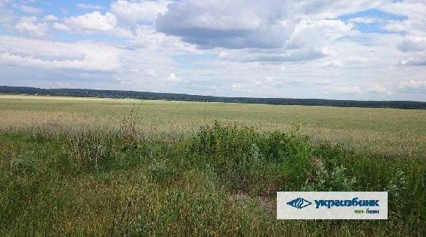 земля продам село Мостище, фото 6 з 15
