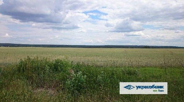 земля продам село Мостище, фото 7 з 15