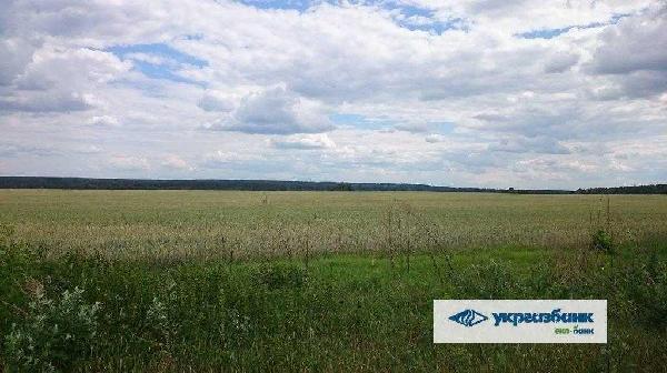 земля продам село Мостище, фото 9 з 15