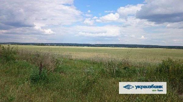 земля продам село Мостище, фото 11 з 15