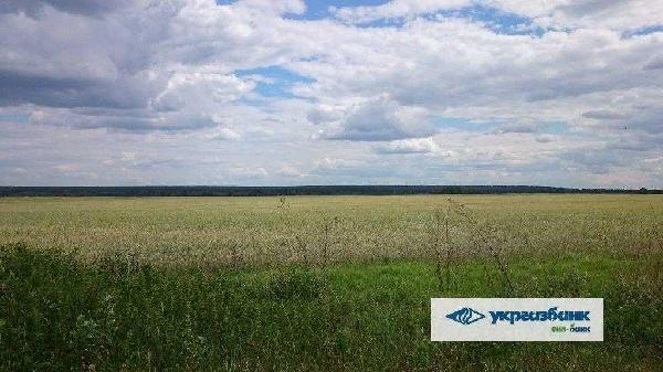 земля продам село Мостище, фото 12 з 15