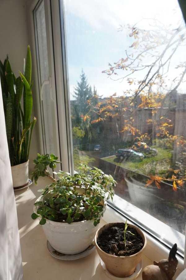 квартира продам місто Полтава, фото 2 з 8