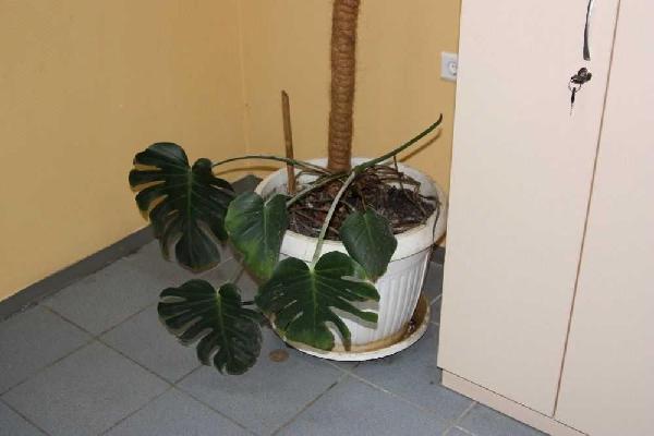 квартира здам довгостроково місто Київ, фото 5 з 10