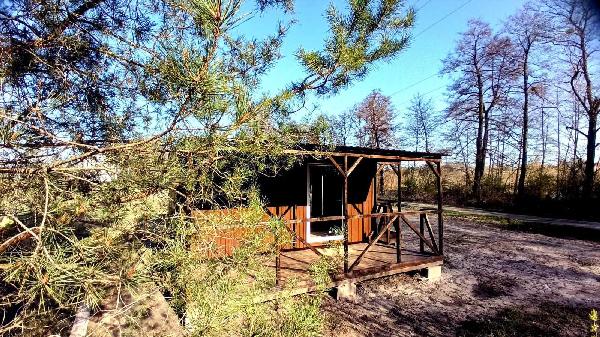 будинок продам село Осикове, фото 7 з 24