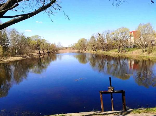 земля продам місто Миколаївка, фото 1 з 22