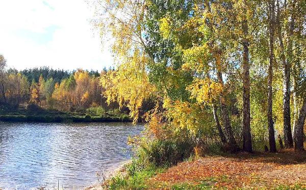 земля продам місто Миколаївка, фото 2 з 22