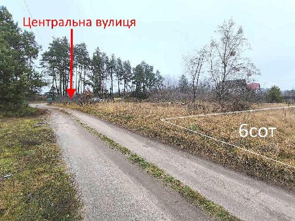 земля продам місто Миколаївка, фото 7 з 22