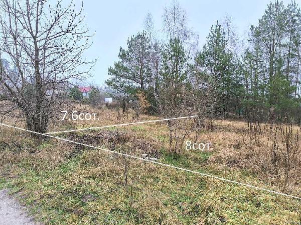 земля продам місто Миколаївка, фото 15 з 22