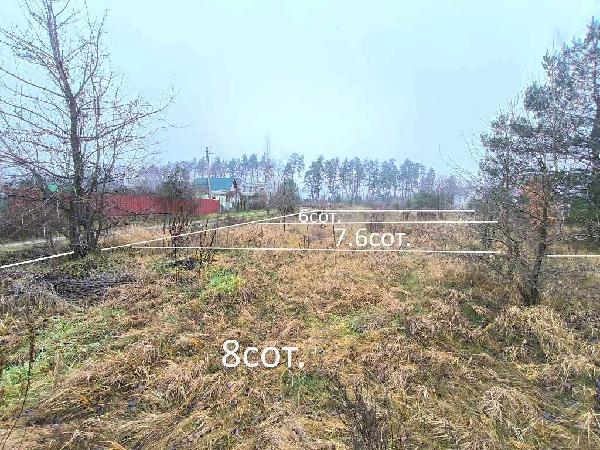 земля продам місто Миколаївка, фото 16 з 22