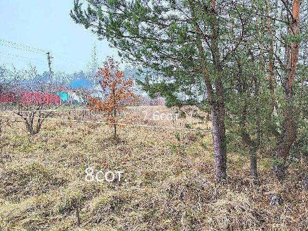 земля продам місто Миколаївка, фото 17 з 22